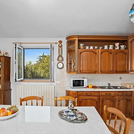 Charming Tedi With Sea View Daire