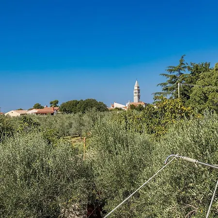 Charming Tedi With Sea View *